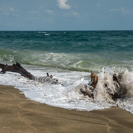 Afrodita 2 شقة فندقية سينيموريتس