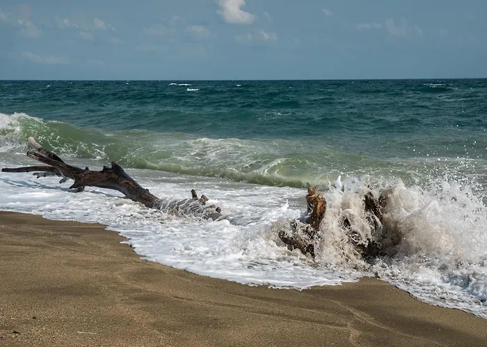 Afrodita 2 Apartahotel Sinemoretz